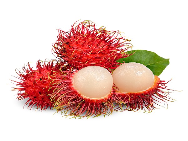 ผลไม้(ส่งวันถัดไป)